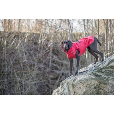 Trixie Regenjas Hond - Vimy - Rood - Ruglengte 35 cm - S