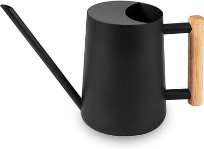 GELLDG Gieter voor planten - Metalen gieter - 1000 ml - Met lange tuit - Kleine moderne gieter - Geschikt voor kamerplanten, bonsai, tuinbloemen en decoratie - Zwart