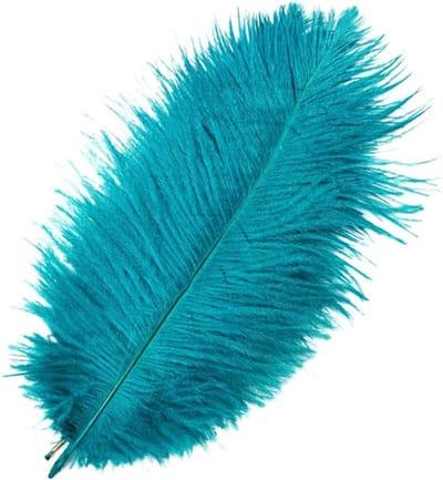 Natuurlijke Struisvogelveren 25-30cm - 10 Stuks voor DIY Creaties, Home Decor en Feestdecoratie