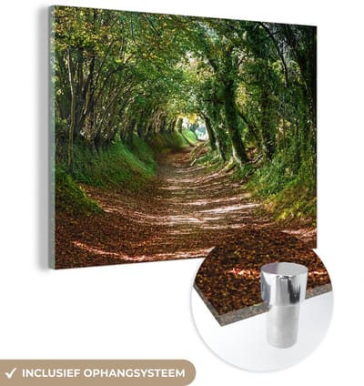 ® Glasschilderij 160x120 cm - Schilderij acrylglas - Boomtunnel in het Nationaal park South Downs in Engeland - Foto op glas - Muurdecoratie woonkamer - Wanddecoratie slaapkamer - Schilderijen