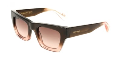 Ferragamo SF2105S Transparent brown gradient 50/23/145 WOMAN Zonnebrillen