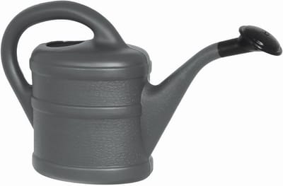 Dailygoods- Gieter 1 Liter - Kunststof - Ergonomisch Design - Afneembare Sproeikop - Lichtgewicht - Duurzaam - Waterkan