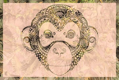 Fotobehang MonkeyPattern2 DD118100 A.S. Création Atelier 47 | Fotobehang online webshop