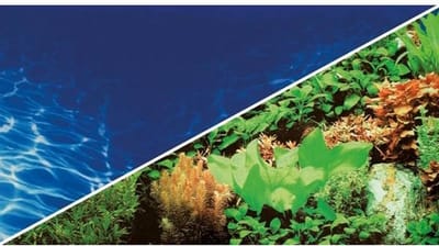 Hobby Foto Achterwand Pre Cut Plants 8/Marin Blue 100CM x 50CM