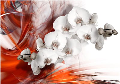 Fotobehangkoning - Behang - Vliesbehang - Fotobehang Vurige Orchideeën - Orchid on fire II - 400 x 280 cm