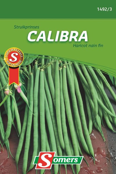 Somers zaden - Struikprinses Calibra