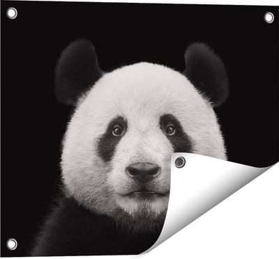 Gards Tuinposter Panda - Pandakop - 50x40 cm - Tuindoek - Tuindecoratie - Wanddecoratie buiten - Tuinschilderij