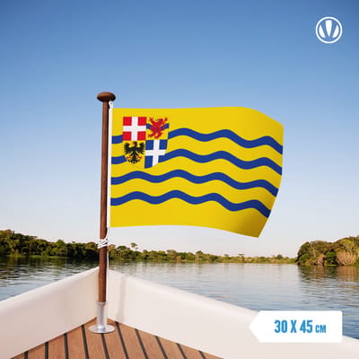Vlag Salland 30x45cm
