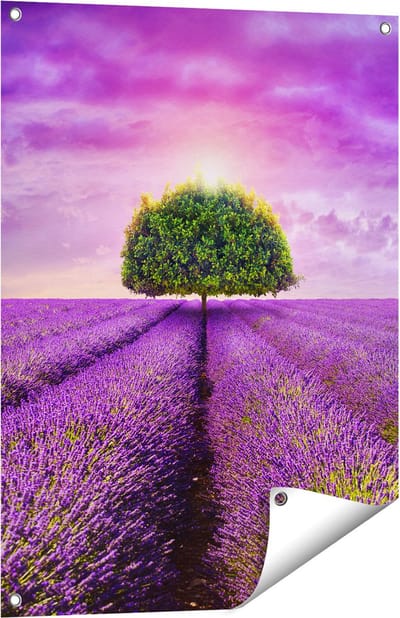 Gards Tuinposter Groene Boom in de Lavendel Bloemen - 60x80 cm - Tuindoek - Tuindecoratie - Wanddecoratie buiten - Tuinschilderij