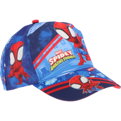 Spiderman pet - Spidey