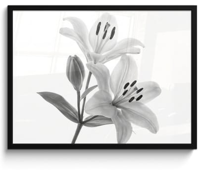 Poster in lijst - Fotolijst 80x60 cm - Posters - Lelies - Elegant - Zwart - Wit - Posterlijst zwart - Decoratie - Wanddecoratie woonkamer - Muurdecoratie slaapkamer