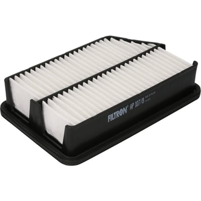 Luchtfilter FILTRON AP107/8