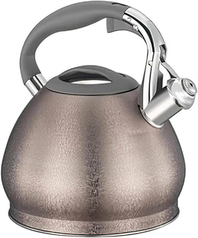 Waterkoker Fluitketel - Theepot RVS - Water Koken - Verdikte Bodem - 3 Liter - Zilver