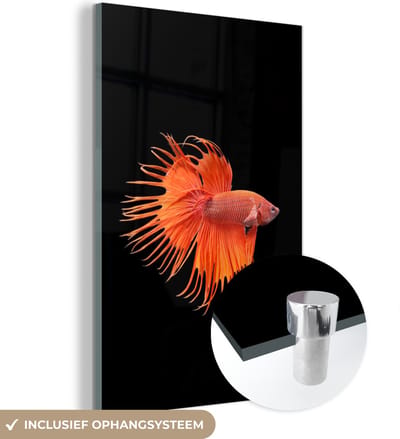 MuchoWow® Glasschilderij 120x180 cm - Schilderij acrylglas - Vis - Wilde dieren - Zwart - Foto op glas - Schilderijen