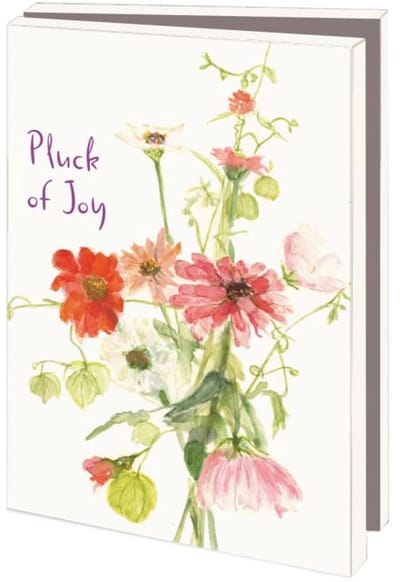 Kaartenmapje 10 stuks met enveloppen – Pluck of Joy, Janny van den Broek