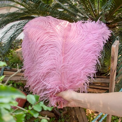10 PIÈCES Plumes d'Autruche 35-60cm Plume d'Autruche Noire pour DIY Centre de Table de Mariage Décoration de Vase de Maison Artisanat Haute Qualité 15-20cm rose clair