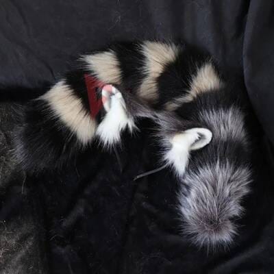 Nouvel ensemble d'accessoires de cosplay Procyon Lotor Oreilles Serre-tête Queue Costume de Cosplay Pour Fête Jeu Cosplay Halloween One Size