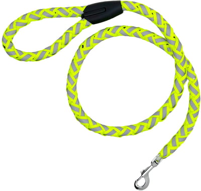 Dailygoods- Hondenriem Gewatteerd 1,2 m - Reflecterend - Handgreep - Robuust - Voor kleine/middelgrote/grote honden - Comfortabele grip - Hondentuig