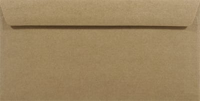 Ecologische bruine enveloppen DL - 110 x 220 mm - 50 stuks - NK natgelijmde - 100 gram - Eko Design - Netuno
