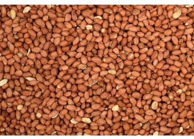 Wielink Pinda’s gepeld 1KG kleinverpakking