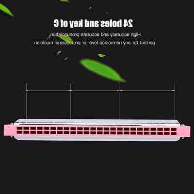 Mondharmonica 24 Gaten - Muziekinstrument Kinderen - Muziek Leren Spelen - Roestvrijstalen Behuizing - 18 cm Lengte - Roze