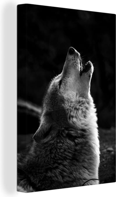Canvas Schilderij Huilende grijze wolf - zwart wit - 40x60 cm - Wanddecoratie