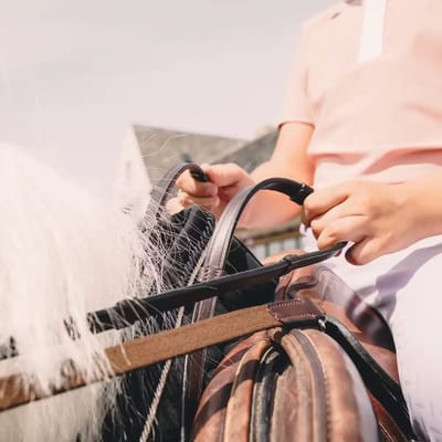 Kentucky Teugelondersteuning Leder Working Collection Pony Bruin