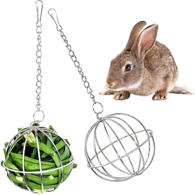 Set van 2 Hangende Hooi Ballen voor Knaagdieren, Rvs Voederballen voor Konijnen, Cavia's en Chinchilla's, Ideaal voor Gezonde Voeding en Speelplezier