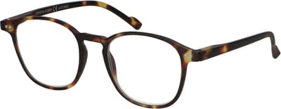 Spectrum Leesbril Ultra Flat in Case Havana 1.00
