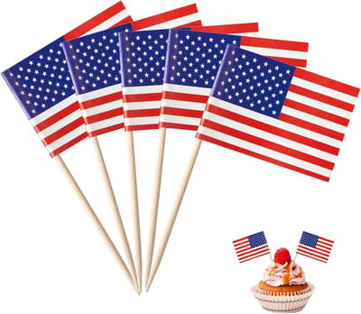 100 Stuks Amerikaanse Tandenstokers voor Feesten en Decoratie