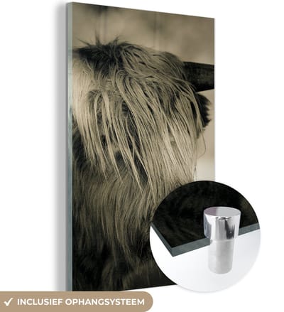 MuchoWow® Glasschilderij 120x180 cm - Schilderij acrylglas - Schotse Hooglander - Dieren - Haar - Foto op glas - Schilderijen