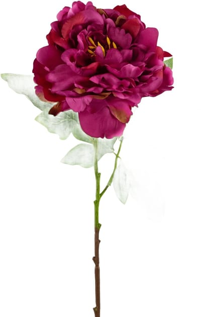 Easyplants | Kunstbloem Pioen 61 cm roze | Zijde | Nepbloemen | roze | Onderhoudsvrij | Kant-en-klaar