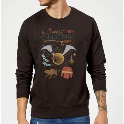 Harry Potter All I Want for Christmas trui - Zwart - M