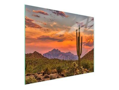TMK ArtDeko - Snijplank Glas - 52x30cm - Goud - Anti-slip