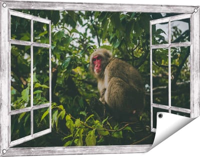 Gards Tuinposter Doorkijk Aap in de Boom tussen de Bladeren - 90x60 cm - Tuindoek - Tuindecoratie - Wanddecoratie buiten - Tuinschilderij