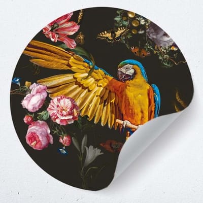Muurcirkel papegaai sticker 60 cm - behangcirkel - woonkamer muur decoratie accessoires