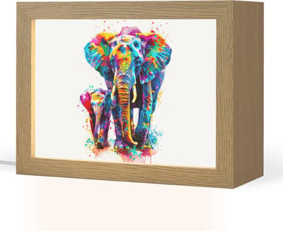 Nachtlampje 20x15 cm - Kinder lampje - Olifanten - Dieren - Verf - Kleurrijk - Tafellamp kinderkamer - Slaapkamer lamp - Bedlamp kinderen - Kinderlampje stopcontact - Wandlamp babykamer - Nachtlampjes