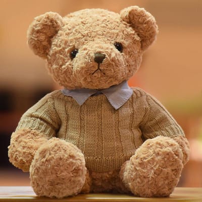 Schattige Teddybeer Pluche Speelgoed Knuffelbeer Bloemenbeer Pop Slapende Lappenpop Meisje Verjaardagscadeau 50cm