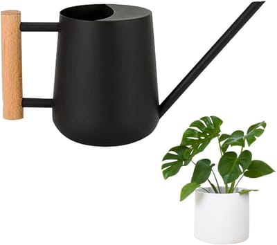 Gieter Lange Schenktuit - Planten Gieter - Binnen en Buiten - Houten Handvat - 10.01 x 20 x 10 cm
