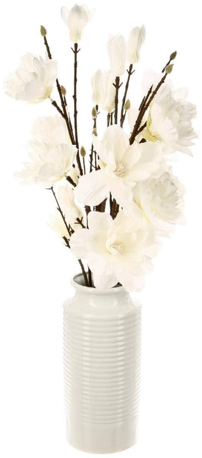 - Magnolia takken van vaas, hoogte 75 cm