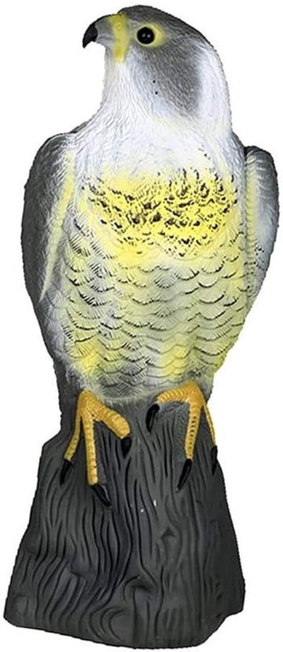 Allecto - Duivenafweer - Vogelverschrikker - Realistische simulatie