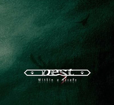 Nest - Within A Decade (3 CD)
