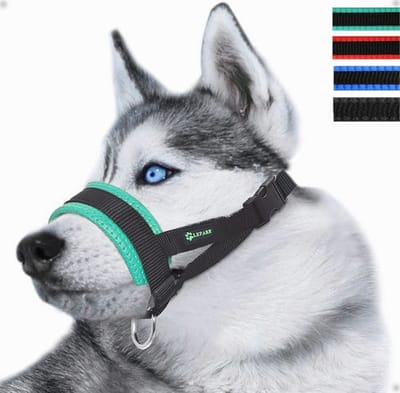 Dailygoods - hondenmuilkorf voor kleine, middelgrote en grote honden, duurzame en verstelbare muilkorf om bijten, kauwen en blaffen te voorkomen (M, Groente)