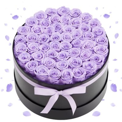 VEVOR Forever Flowers, 50 Gepreserveerde Rozen in een Doos, Eterne Bloemen Onsterfelijke Boeket Verjaardag Geschenk voor Vrouwen Zijne Vrouw Moeders, Jubileum, Valentijnsdag, Kerst, Lavendel Paars
