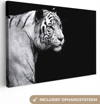 Canvas Schilderij Tijger - Wilde dieren - Licht - 120x80 cm - Wanddecoratie