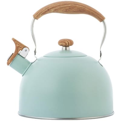 Luxe Roestvrijstalen Fluitketel Houten Handvat Fluitketel Klassieke Waterkoker Voor Alle Kookplaten Mintgroen groen