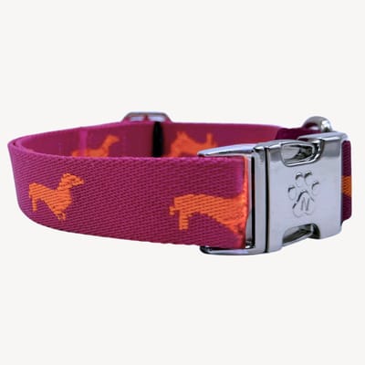 Teckels - Halsband Hond - XS - 22 / 36 cm - Puppy halsband - kleine hond