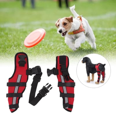 Hond Brace Achterbeen, met Reflecterende Strips Hond Kniebrace voor Gescheurde ACL, Elastische Veilig Shockproof Huisdier Kniebeschermers voor K9 CCL Luxating Patella (XS)