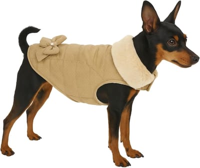 Hondenjas – Guzzi Beige 20cm – warme waterafstotende jas met fleecevoering, klittenbandsluiting & schattig strikje
