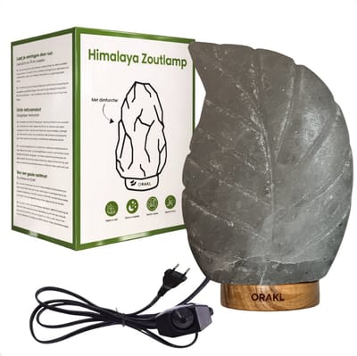 Luxe Dimbare Himalaya Zoutlamp Leaf - 2-4 KG en ca. 18 cm - Nachtlamp - Tafellamp - Cadeauverpakking